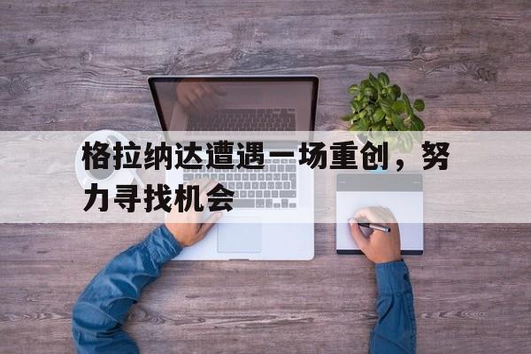 格拉纳达遭遇一场重创，努力寻找机会的简单介绍
